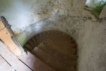 IMG 3101