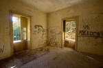IMG 3113
