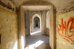 IMG 3146