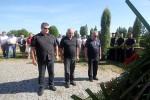 IMG 3242