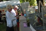 Fotogalerija: Nedjelja na Rokovu - male životinje „letjele“ parkom, Ođenica najbolje hvata ribu, Marijan Ban "zapalio" središte Virovitice 51 IMG 5713 Small