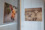 Fotogalerija: Subota na Rokovu, slavlje Svetog Đurađa, otvorena izložba fotografija, Zlotvori pobijedili Debele i još puno toga... 29 P8130012 Small