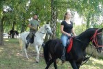 western 6