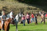 western 8