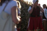 IMG 7288