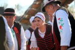 IMG 7291
