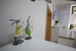 IMG 8382
