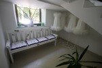 IMG 8384