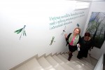 IMG 8451