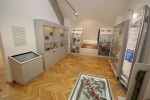 IMG 8491