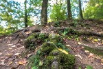 IMG 0286