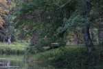 IMG 0342
