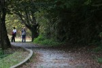IMG 0345