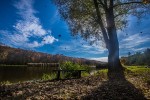 IMG 4045