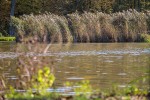IMG 4067