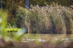 IMG 4072