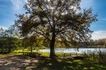 IMG 41231
