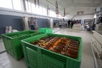 Nove investicije: Virovitička Brana, pokrenula je proizvodnju prirodnih sokova od jabuke i aronije 2 IMG 4133