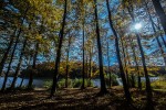 IMG 4168