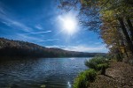 IMG 4175