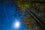 IMG 4186