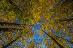 IMG 4192