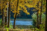 IMG 4217