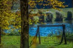 IMG 4231
