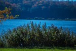 IMG 4233