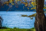 IMG 4241