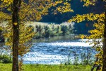 IMG 4245