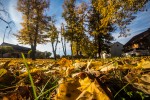 IMG 4286