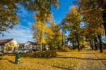 IMG 4316