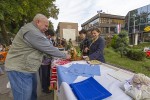 Fotogalerija: Virovitičani u svom gradu imaju zanimljivu, zabavnu i ukusnu jesen 18 MG 8600