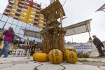 Fotogalerija: Virovitičani u svom gradu imaju zanimljivu, zabavnu i ukusnu jesen 23 MG 8639