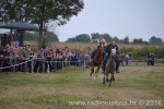 Mijoljska potkova 2016 11