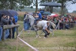 Mijoljska potkova 2016 31
