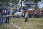 Mijoljska potkova 2016 32