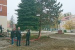 RadoviTrg2016 10 014
