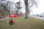 Fotogalerija: Posljednje pripreme uoči nedjeljnog početka "Adventa pred kućicama” i ”Prosinca u gradu” u Virovitici 13 IMG 1426