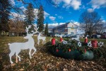 Fotogalerija: U režiji Andreje Glazer učenici OŠ Suhopolje s učiteljem Mirkom Šimićem postavili adventski vijenac i jelene Djeda Božićnjaka 1 IMG 6636