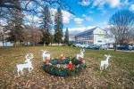 Fotogalerija: U režiji Andreje Glazer učenici OŠ Suhopolje s učiteljem Mirkom Šimićem postavili adventski vijenac i jelene Djeda Božićnjaka 2 IMG 6637