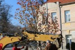 Fotogalerija: Središte Orahovice će u budućnosti biti jedan od najljepše uređenih trgova u Slavoniji 16 RadoviTrg2016 11 21 031