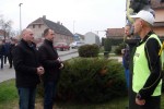 kozice5