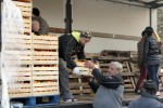 U virovitički Crveni križ stiglo 23 tone mandarina iz Opuzena, ovaj tjedan stiže još šest tona 1 mandarine