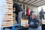 U virovitički Crveni križ stiglo 23 tone mandarina iz Opuzena, ovaj tjedan stiže još šest tona 2 mandarine1
