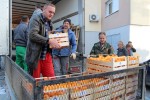 U virovitički Crveni križ stiglo 23 tone mandarina iz Opuzena, ovaj tjedan stiže još šest tona 4 mandarine3