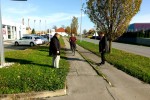 Uskoro novi nogostup i biciklistička staza u Vukovarskoj ulici od Vinkovačke ulice do Ulice Zlatnog Polja u Virovitici 3 nogostup2