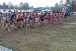 Doroteja Santi kao članica reprezentacije Hrvatske, osvojila je broncu na Prvenstvu Balkana u krosu 2 santi ekipno2