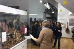 Nošnje i plesovi slavonske Podravine u Zavičajnom muzeju Slatina i u Srednjoj školi Marka Marulića 16 slatinaPles 16